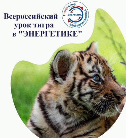 Всероссийский урок тигра в дол Энергетик, Хабаровск